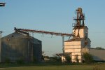 Grain plant